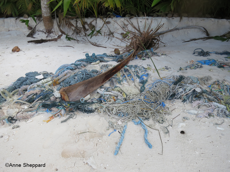 Hazardous beach litter, Middle Brother island