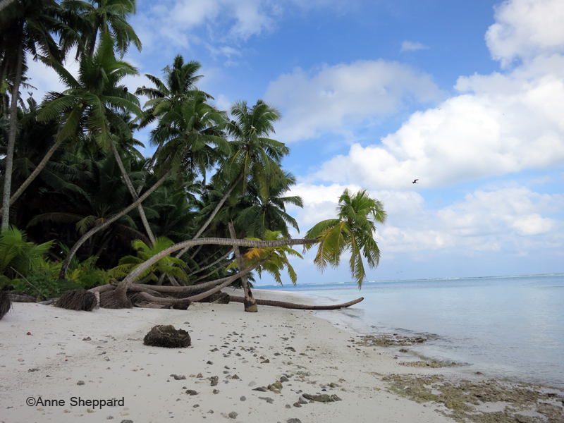 Middle Brother island