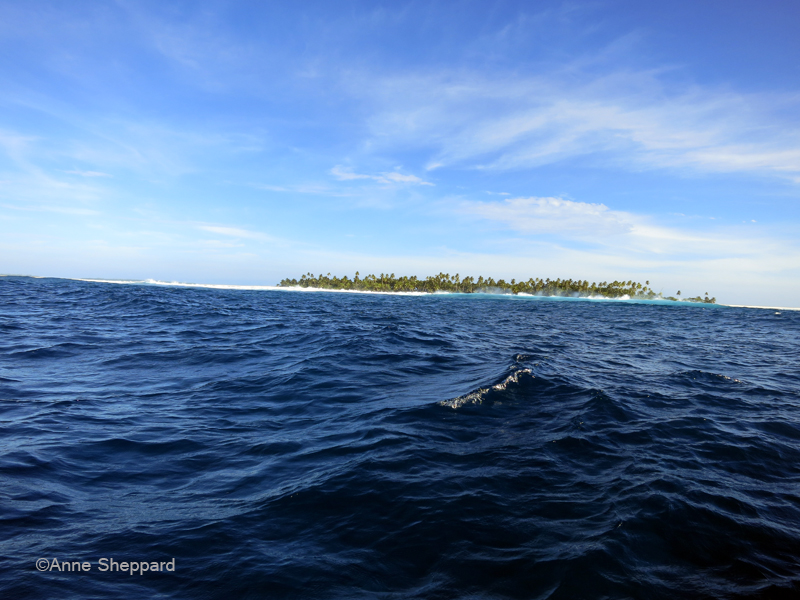 Peros Banhos Atoll seaward Ile Fouquet 