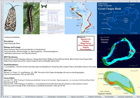 Pinning Down the Terrestrial Invertebrates of BIOT
