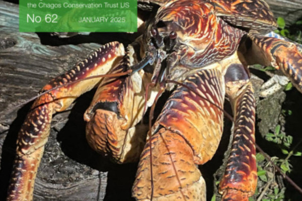 The latest issue of Chagos News is out now!