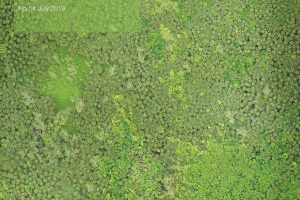 OUT NOW - Chagos News #54 