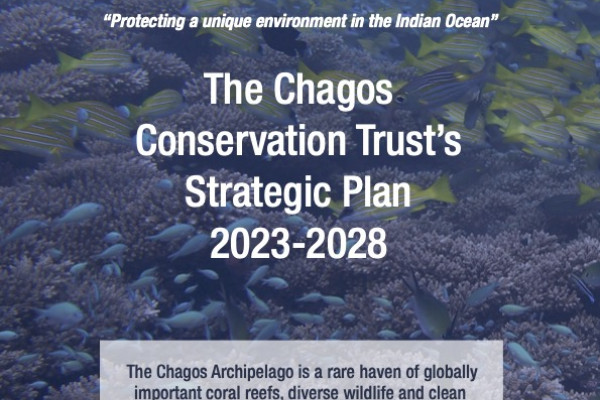 CCT unveils its strategic plan for the next five years