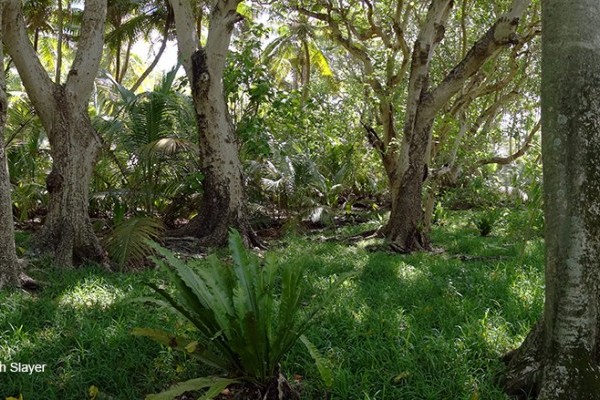 CCT autumn newsletter 2018