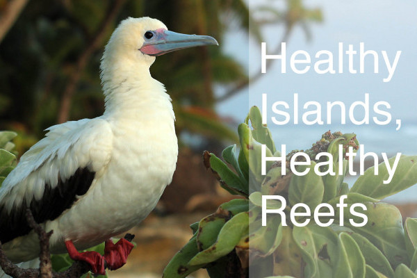 World Rewilding Day 2021