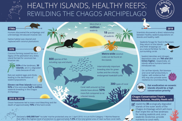 Healthy Islands, Healthy Reefs Infographic