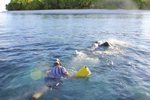 Ile Vache Marine Bird Habitat Restoration Project Reconnaissance