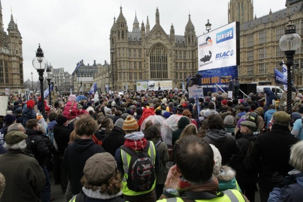 UK marine reserves – a call for more