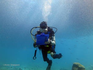 A message from our new Chair