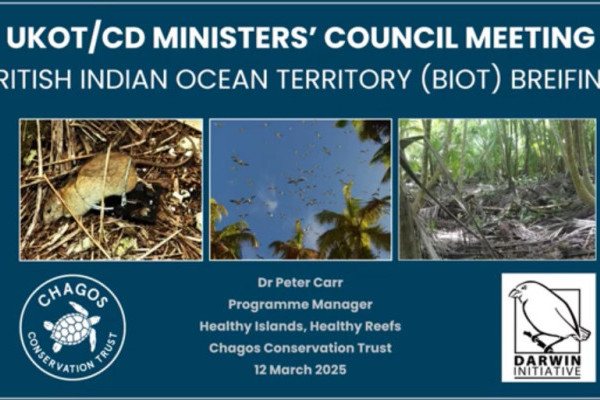 CCT Programme Manager gives BIOT briefing to UK OT/CDs Environment Ministers 