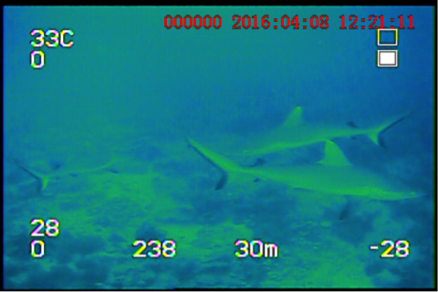 Welcome to the Twilight Zone