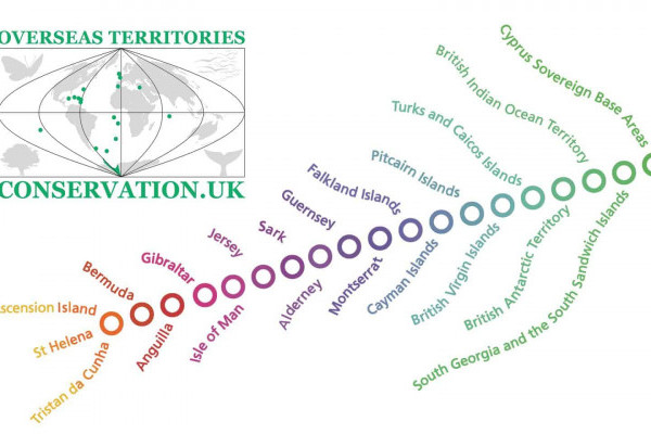 UKOTCF online conference 2021