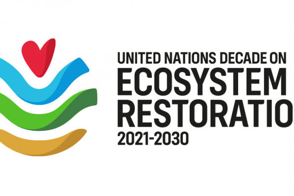 Supporting the Decade of Ecosystem Restoration