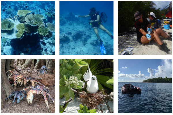 World Oceans Day: Exploring remote oceans using traces of DNA