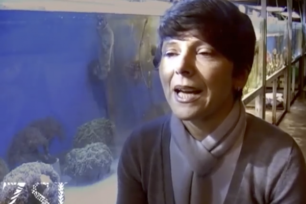 Why is Chagos special? Rachel Jones of ZSL Aquarium