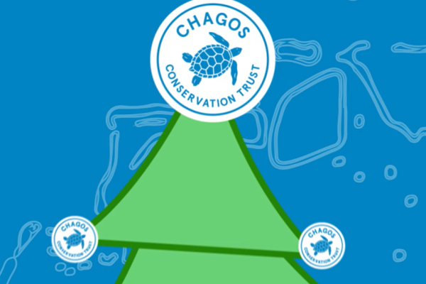 Season’s Greetings from CCT! 