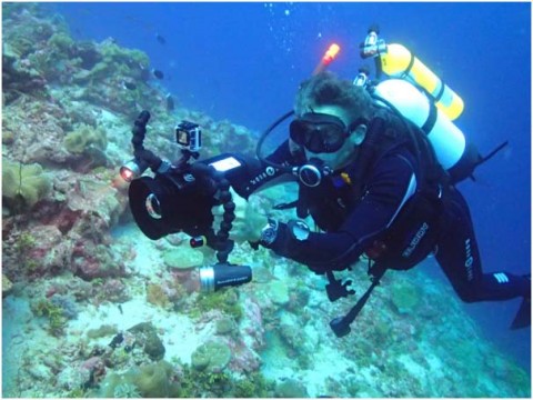 Further recognition for work in the Chagos Archipelago