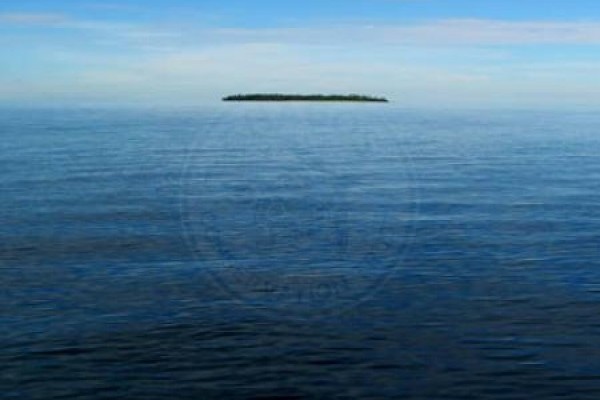 Dismissal of the appeal against the BIOT MPA